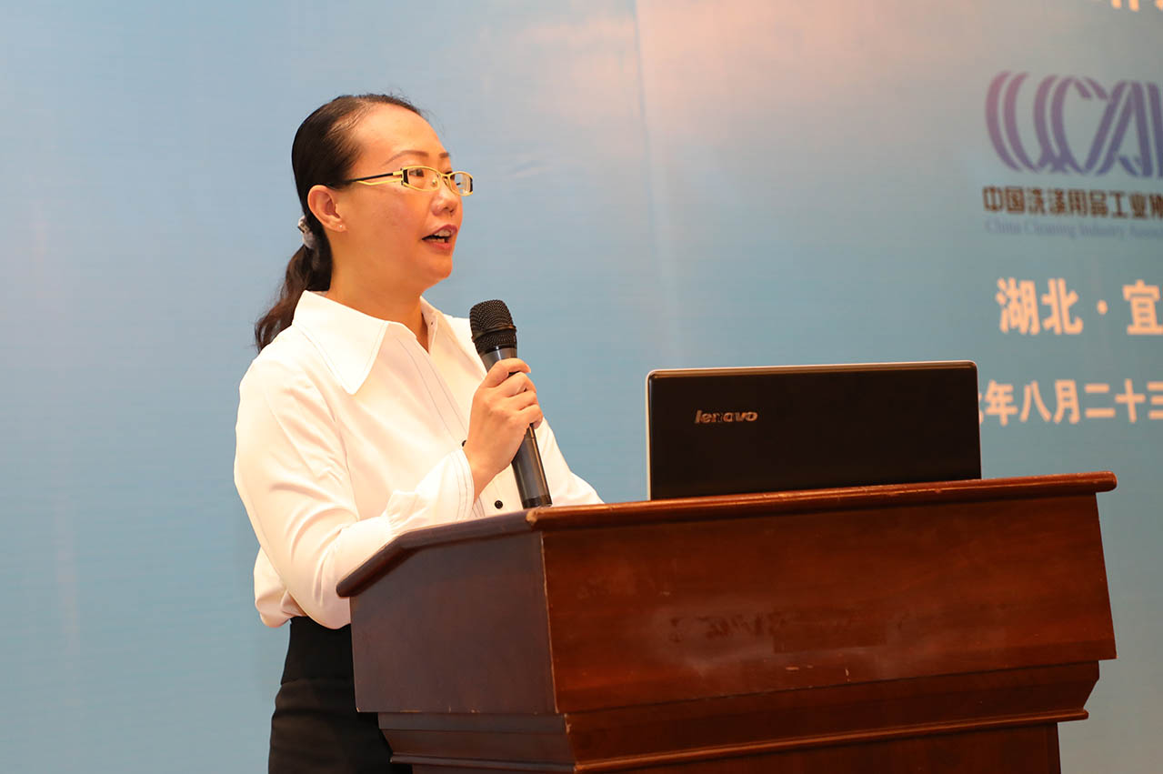 中国洗协理事长助理张燕宣读新闻工作组工作条例、组织架构以及工作计划。